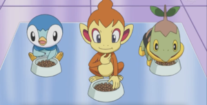 Pokémon de départ de Sinnoh - Épisode spécial DP.png