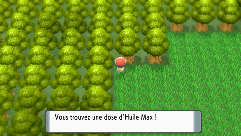 Fichier:Rive du Lac Courage Huile Max DEPS.png