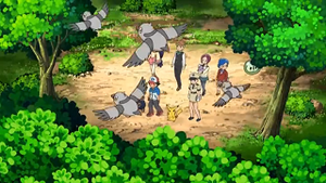 NB035 - Poichigeon.png