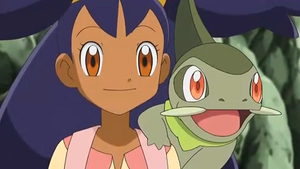 NB136 - Coupenotte d'Iris.png