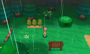 Route 119 Baie Grena ROSA.png