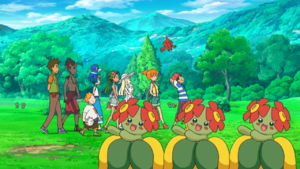 SL042 - Joliflor du laboratoire du Prof. Chen.png