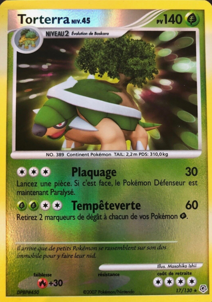 Fichier:Carte Diamant & Perle 17.png