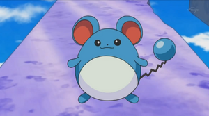 Mini-Film 15 - Marill.png