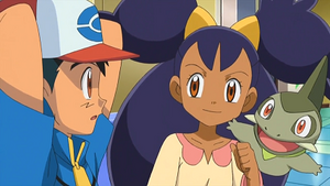 NB109 - Coupenotte d'Iris.png