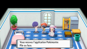 Route 213 Pile ou face DEPS.png