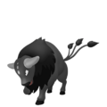 Tauros de Paldea (Race Combative)