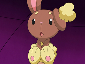 DP095 - Laporeille d'Aurore.png