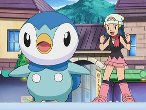 DP143 - Tiplouf d'Aurore.png