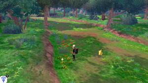 Forêt Flexion Objet Caché 2 EB.png