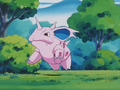 Nidorino (de Tewattoss)