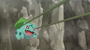 XY041 - Bulbizarre de Sannah.png