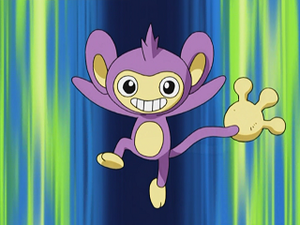 AG184 - Capumain de Sacha.png