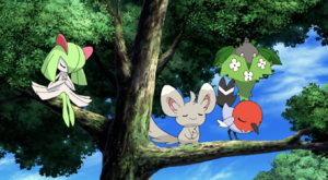 Chinchidou, Kirlia et Cheniselle sauvages - Film 19.png