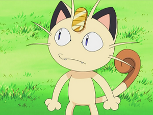DP054 - Miaouss de la Team Rocket.png