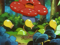 Rafflesia et Chétiflor (sauvages)