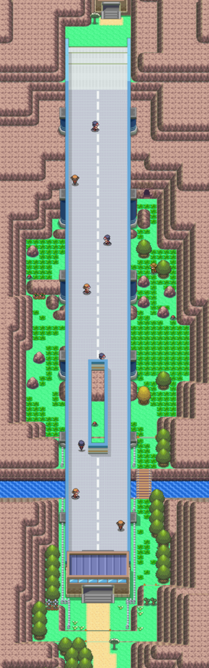 Route 206 DP.png