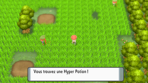 Route 210 Hyper Potion (Objet Caché) DEPS.png