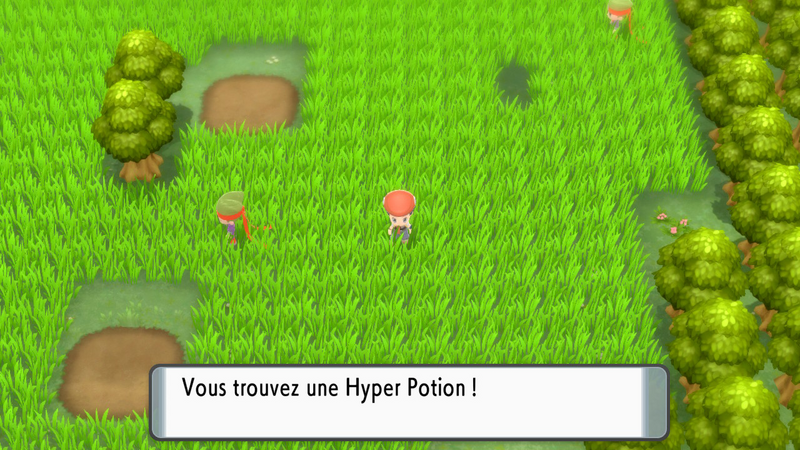Fichier:Route 210 Hyper Potion (Objet Caché) DEPS.png