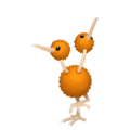 Doduo