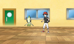 Studio Photo USUL - Arrière-plan 6.png