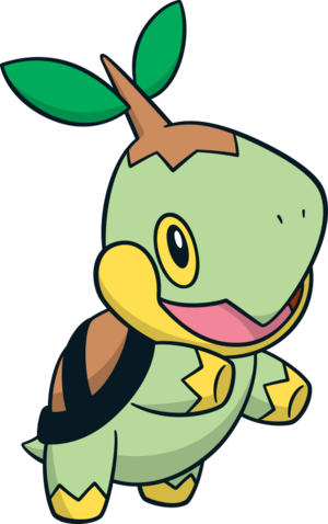 Tortipouss (6)-CA.png