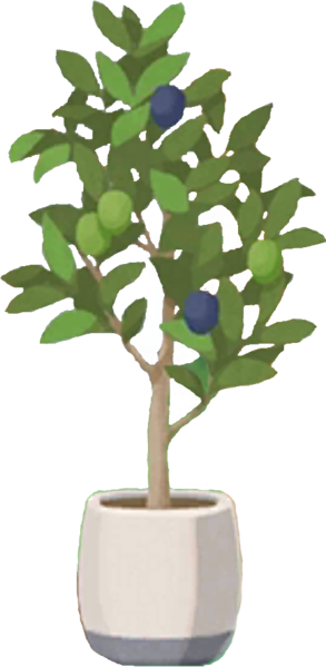 Fichier:Amélioration Olivier-CM.png