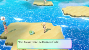 Chenal 21 Poussière Étoile LGPE.png