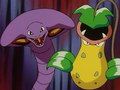 Arbok (de Jessie) et Empiflor (de James)