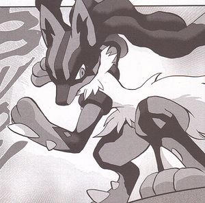 Méga-Lucario de Cornélia-PMS.png