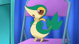 NB019 - Vipélierre de Sacha.png