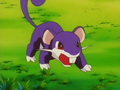 Rattata (de Cathy)