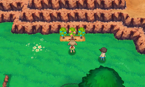 Route 111 Baie Nanab & Baie Fraive ROSA.png