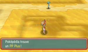 Route 111 PP Plus ROSA.png