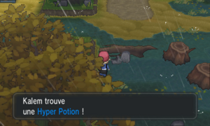 Route 14 Hyper Potion XY.png