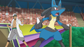 Lucario (du Professeur Euphorbe)