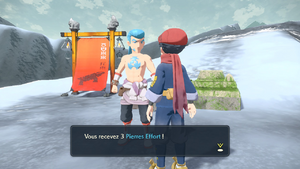 Arène de l'Iceberg Pierre Effort LPA.png