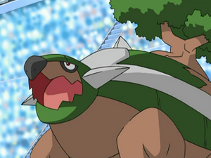 DP052 - Torterra de Paul.png