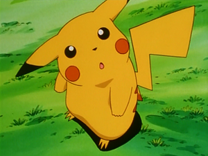 EP051 - Pikachu de Sacha.png