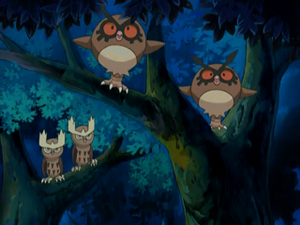 DP004 - Noarfang et Hoothoot.png