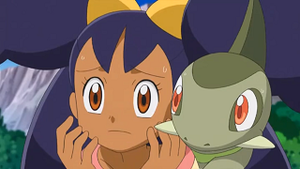 NB034 - Coupenotte d'Iris.png