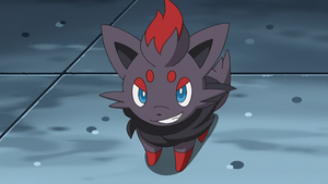 NB082 - Zorua de Luke.png