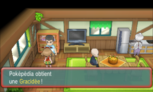 Route 123 Gracidée ROSA.png