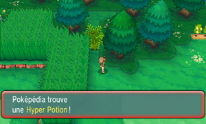 Route 123 Hyper Potion ROSA.png