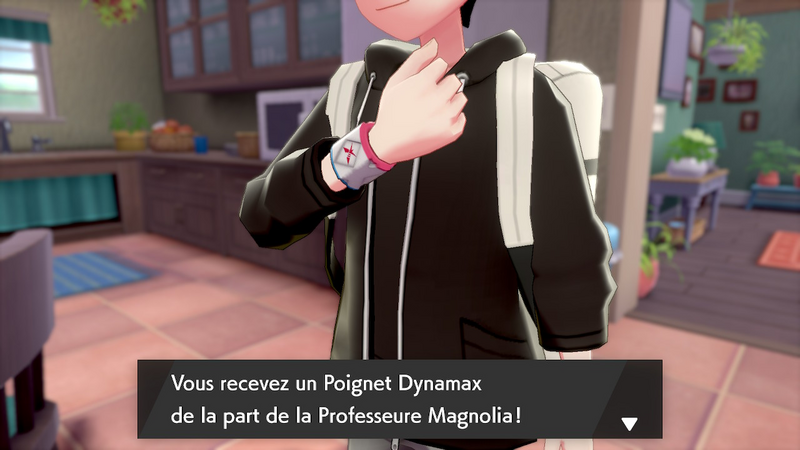 Fichier:Route 2 Poignet Dynamax EB.png