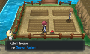 La Frescale Grosse Racine XY.png