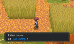 Route 16 Gros Champi XY.png