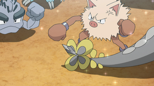 SL130 - Colossinge d'un Dresseur (Flash-back).png