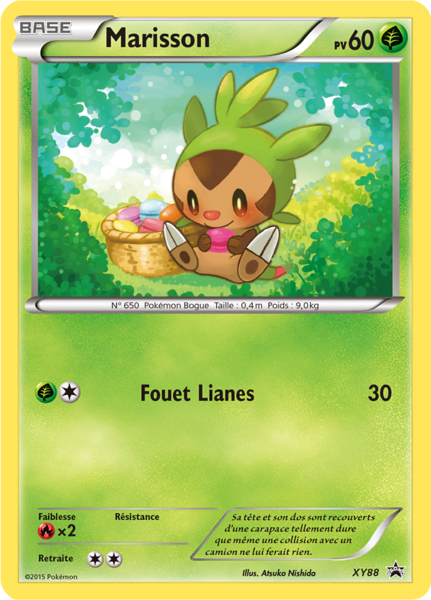 Fichier:Carte Promo XY XY88.png