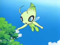 Celebi dans l'AG155.